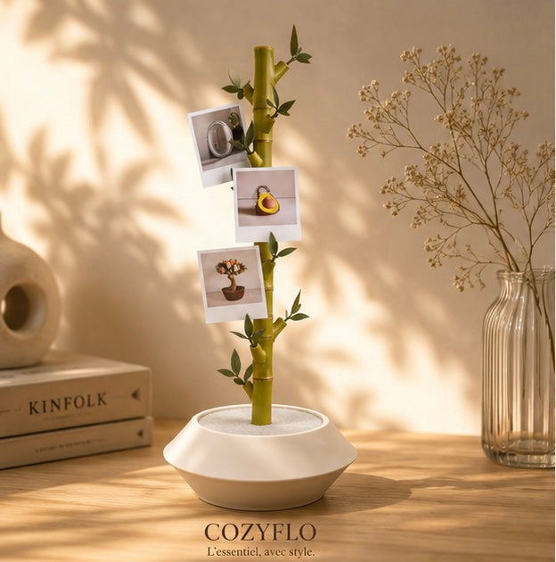 Memories - Plante décorative modulaire