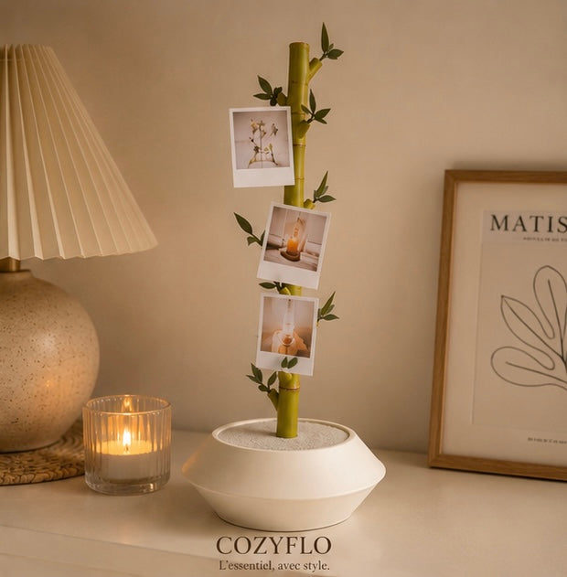 Memories - Plante décorative modulaire