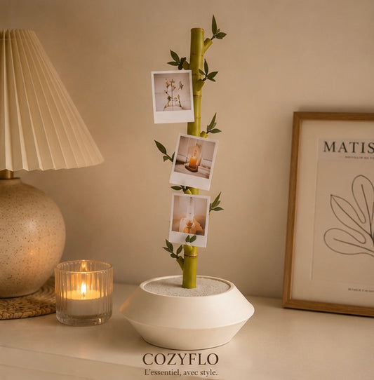 Memories - Plante décorative modulaire