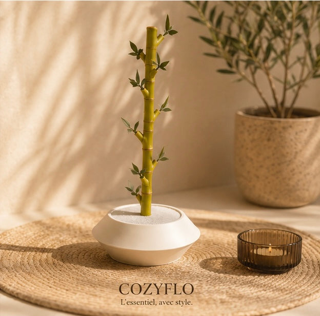 Memories - Plante décorative modulaire