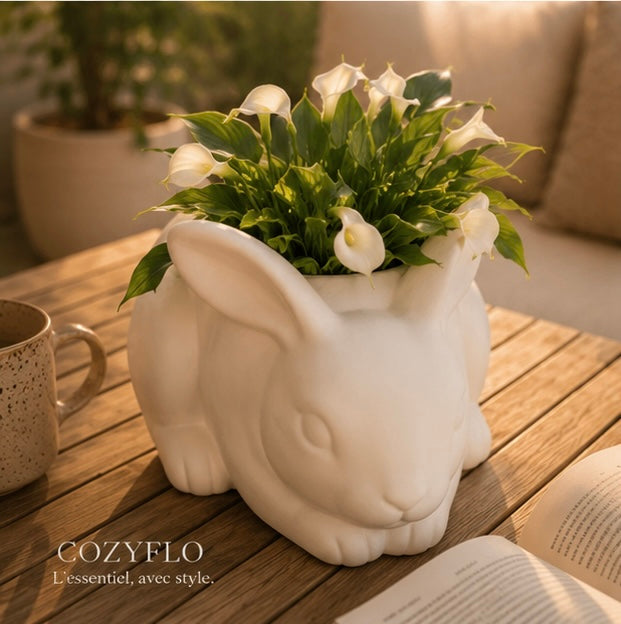 Pot Lapin
