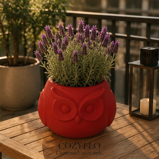 Pot Hibou