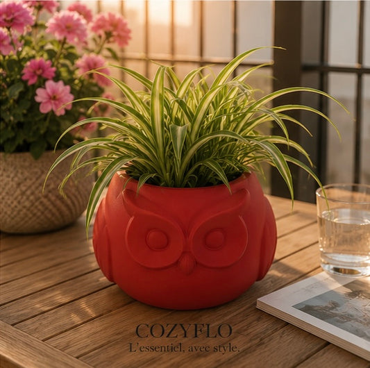 Pot Hibou